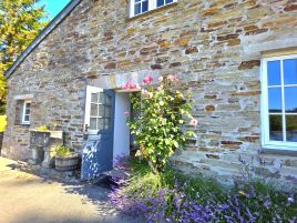 Snowdrop Cottage - Cornwall