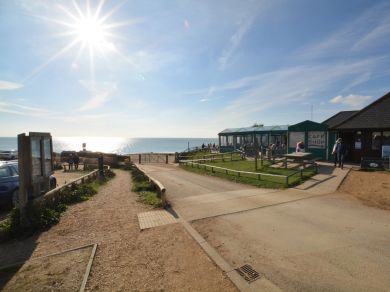 The Old Pottery - Burton Bradstock (OC-DC178)