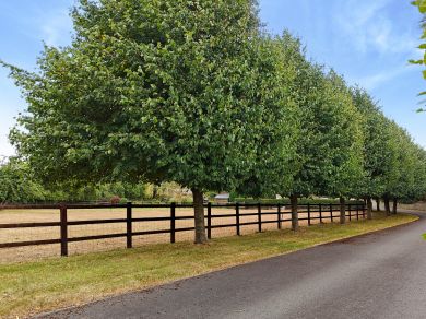 Orchard Barn - Lakeside Barns (OC-96393)