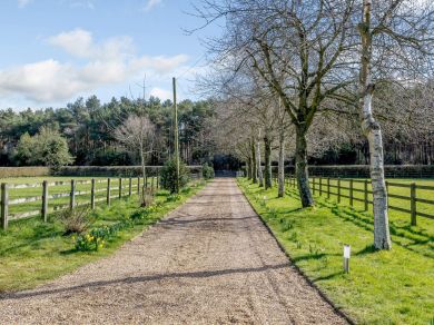 Ferntrees At Craymere Lodge (OC-75761) Ferntrees At Craymere Lodge (OC-75761)