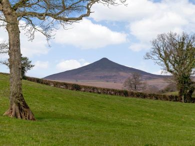 Pheasant Lodge - Llangenny (OC-BN284)