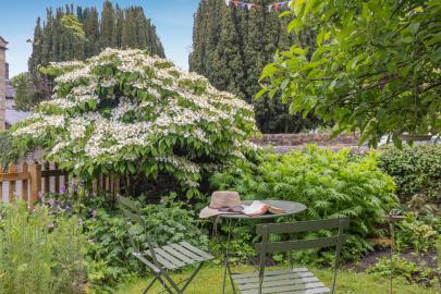 Apple Tree Cottage (OC-A42837)