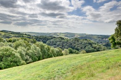 Workshop (OC-WORK) Workshop (OC-WORK)