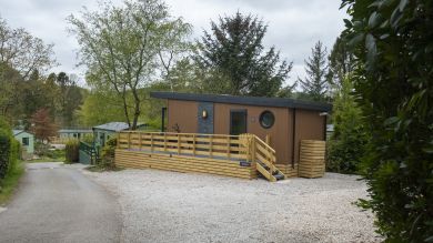 Bowness Hive (OC-B32969)