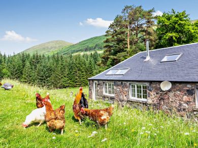 Shepherds Cottage - Erracht (OC-50975)