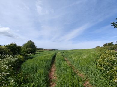Broadmoor Farm (OC-B31879)