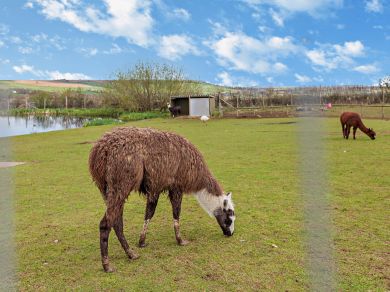 Chew Valley Farm (OC-37147) Chew Valley Farm (OC-37147)