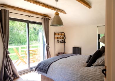 Elm (OC-E46530)