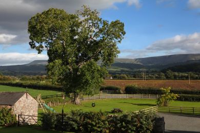 Yew Tree Barn (OC-BN370)