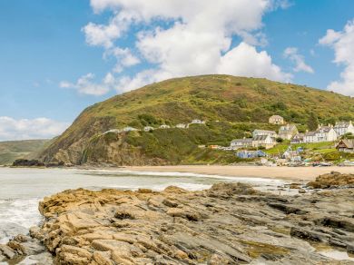 Seahorses - Tresaith (OC-89315) Seahorses - Tresaith (OC-89315)