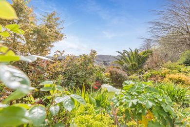 The Old Coach House - Ilfracombe (OC-O31123)