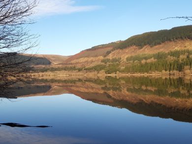 Penybwlch (OC-90596) Penybwlch (OC-90596)