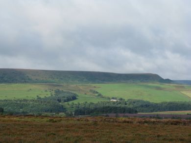 The Old Chapel (OC-Y200)