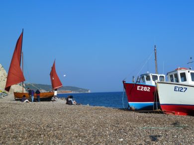 Seaview - Beer (OC-S27769)
