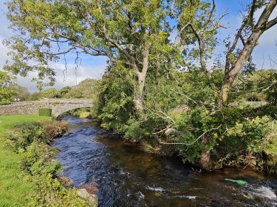 Glan Y Don (OC-N46426) Glan Y Don (OC-N46426)