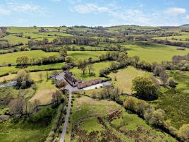Primrose - Buckham Mills