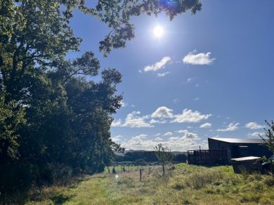 Orchard Hideaway (OC-GD1862) Orchard Hideaway (OC-GD1862)