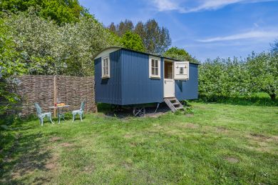 The Orchard Hut (OC-O31908)