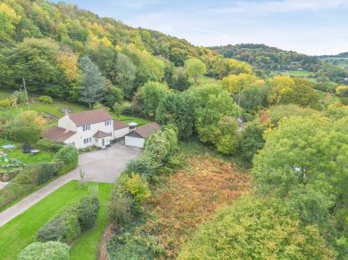 Plum Tree Cottage - Symonds Yat (OC-P33521)