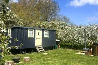 The Orchard Hut (OC-O31908)