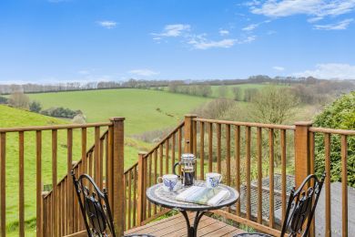 Exmoor Farm Cottages - Swallows Nest (OC-51772)