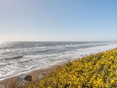 The Spinney - Milford On Sea (OC-86391)