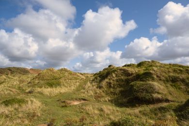 The Burrow (OC-B32917)