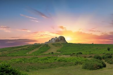 Fox Tor (OC-F29419)