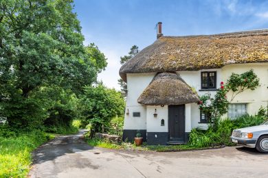 Jasmine Cottage - Winkleigh (OC-J31818)