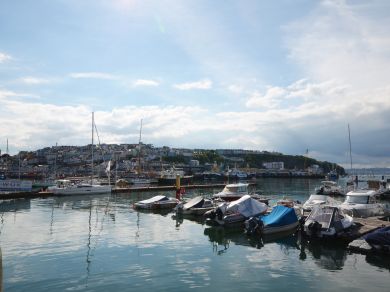 Hideaway Cottage - Brixham (OC-BX036) Hideaway Cottage - Brixham (OC-BX036)