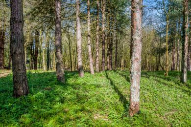 Yurt Three - Holt Glamping (OC-Y39015) Yurt Three - Holt Glamping (OC-Y39015)