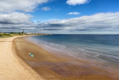 Blue Crab House - Tynemouth (OC-B29939)