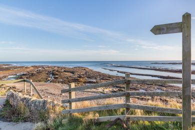 Fishermans Cottage - Beadnell (OC-F30468)