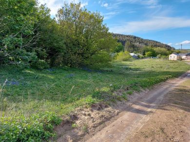 Wayside In Llansteffan (OC-74268) Wayside In Llansteffan (OC-74268)