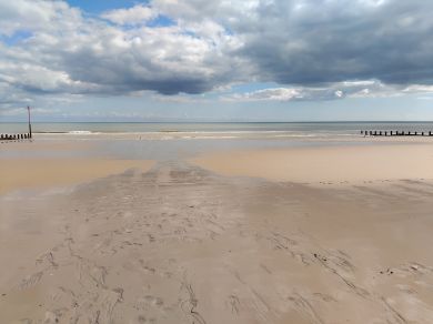 Seaspray (OC-S46071)
