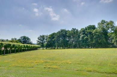Middle Barn (OC-TS726)