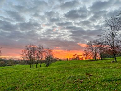 Londesborough Hall (OC-94595) Londesborough Hall (OC-94595)