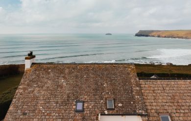 Treviles (OC-L50164) Treviles (OC-L50164)