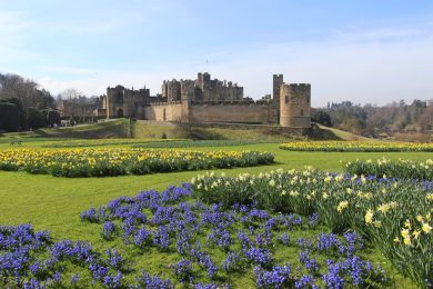 Pinfold Retreat - Alnmouth (OC-P27175)