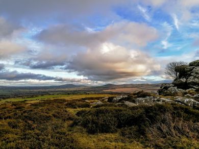 Towy Cottage - Cenarth (OC-T33294) Towy Cottage - Cenarth (OC-T33294)