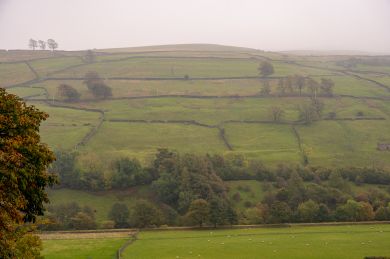 Hill View Cottage - Low Row (OC-H28356)