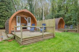 The Owl Pod