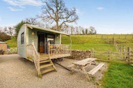 The Great Elm - Shepherds Hut