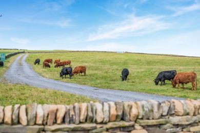 Lapwing Cottage (OC-L30774)