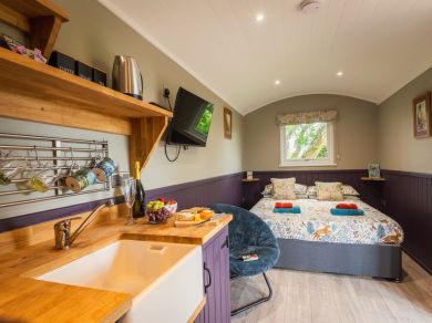 Sunnyside Shepherds Hut (OC-96361)