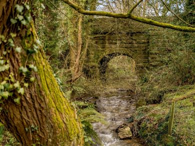Treacle Bridge Cottage (OC-78225) Treacle Bridge Cottage (OC-78225)