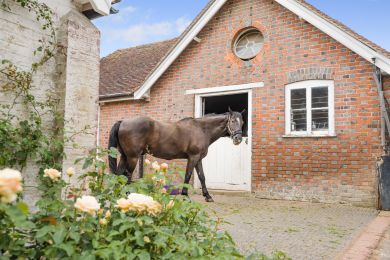 Stable Cottage - Staplehurst (OC-M32773)