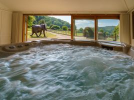 Kune Kune - Exotic Animal Retreat