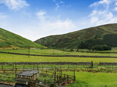 Holms Hope By Glenkirk (OC-96150) Holms Hope By Glenkirk (OC-96150)