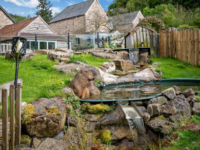 The Coach House - Exotic Animal Retreat (OC-82355) The Coach House - Exotic Animal Retreat (OC-82355)